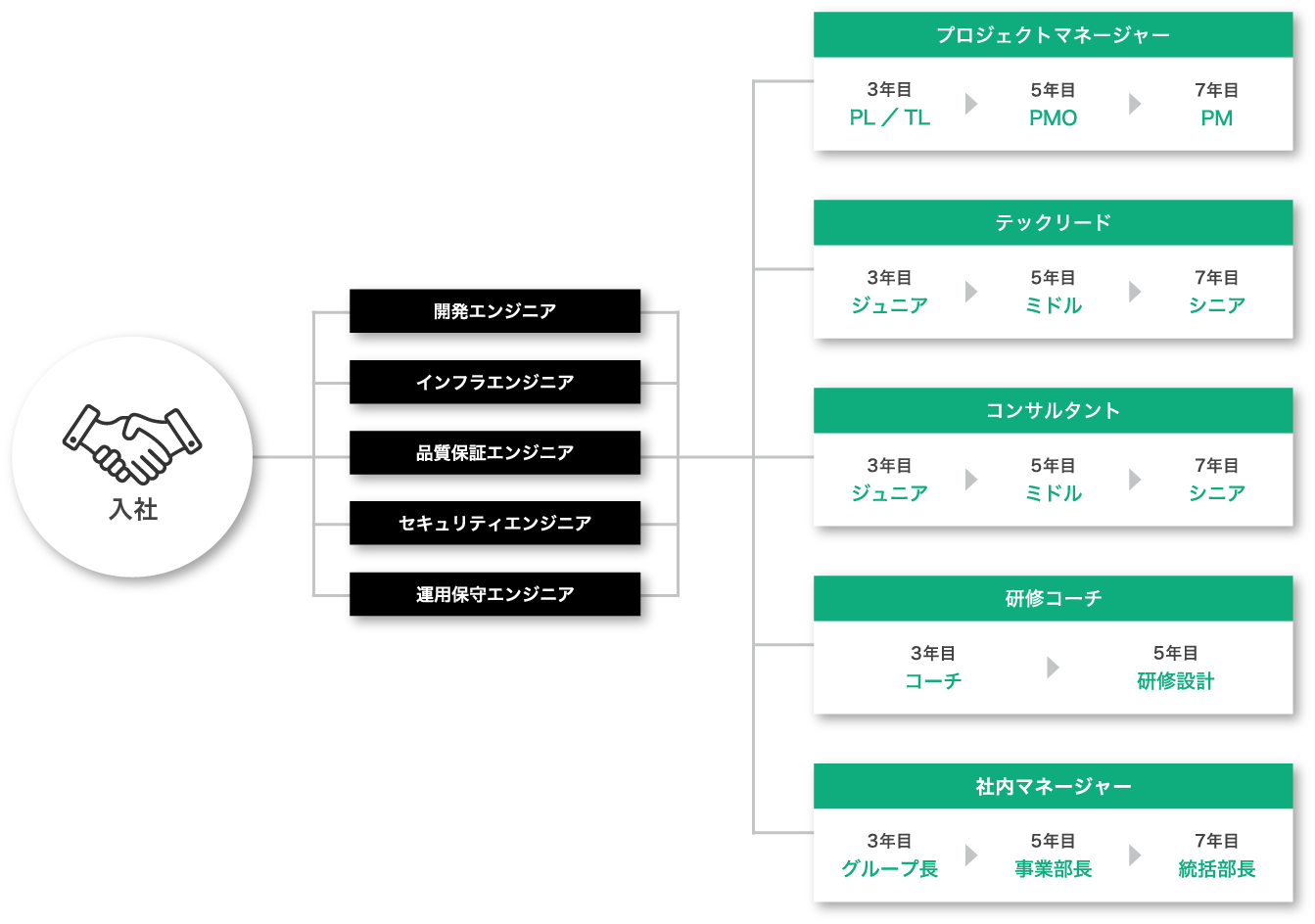 キャリア概要